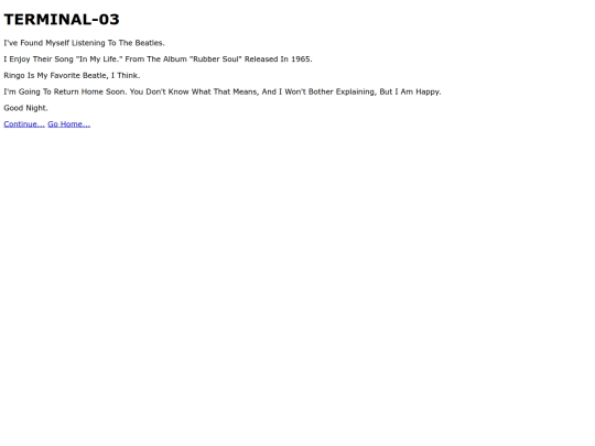 terminal3 screenshot