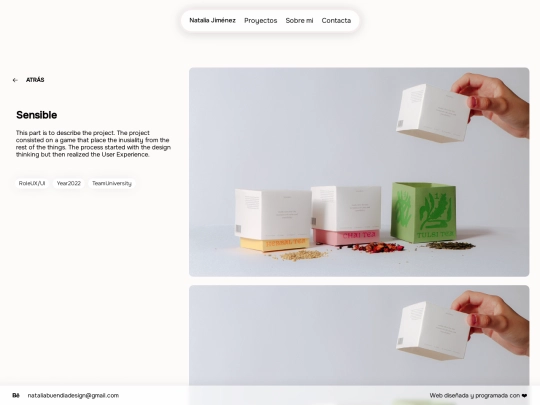 pages/project screenshot