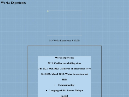 worksexperience screenshot