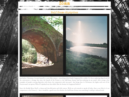 half-frame-diptyches screenshot