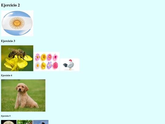 p screenshot