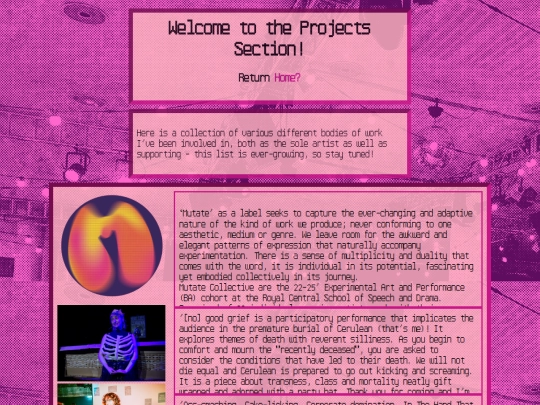 Projects screenshot