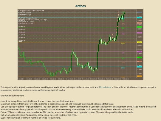 files/codes/Anthos user guide screenshot