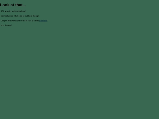 404 screenshot