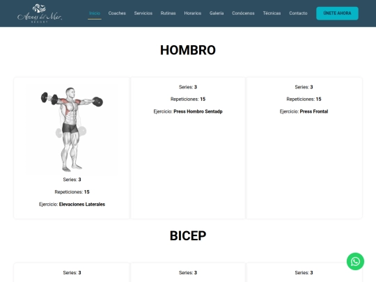 hombro-bicep-tricep-arenas screenshot