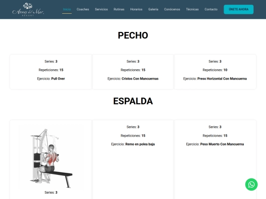 pecho-espalda-abdomen-arenas screenshot