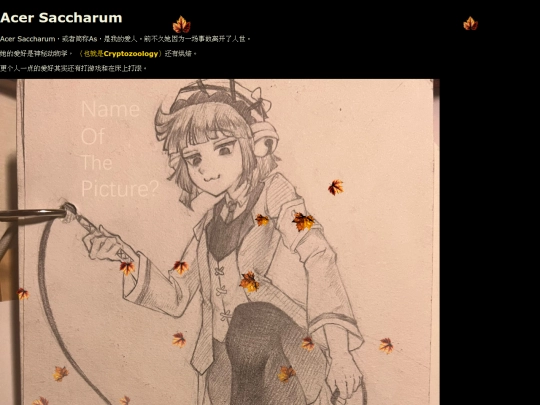 acer screenshot