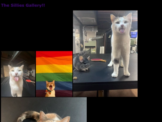 gallery-of-sillys screenshot