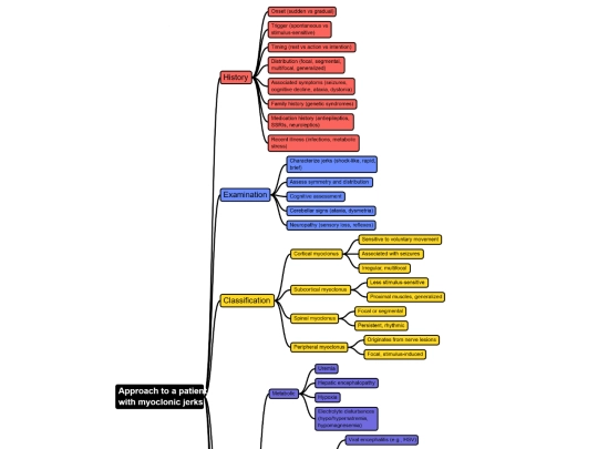 images/approachmyoclonus screenshot