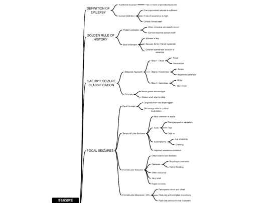 images/seizuresemiology screenshot