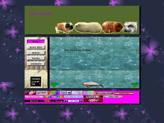 home screenshot
