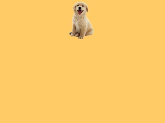 shakey screenshot