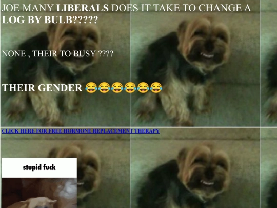misc/gay screenshot