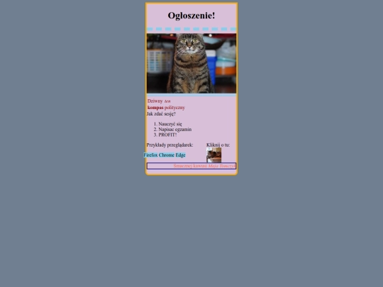 egzaminprobny screenshot