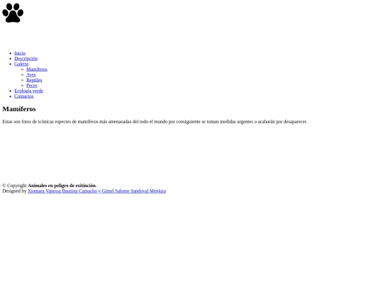 gallery1 screenshot