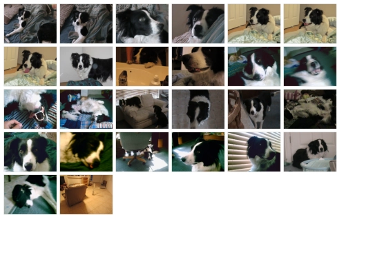 bandit/bandit_gallery screenshot