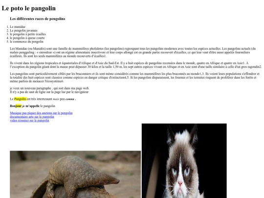 Gabi/PAGE 1 - Copie screenshot
