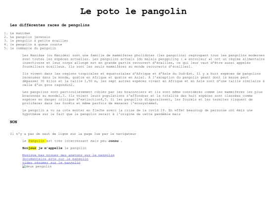 PAGE 1 - Copie screenshot