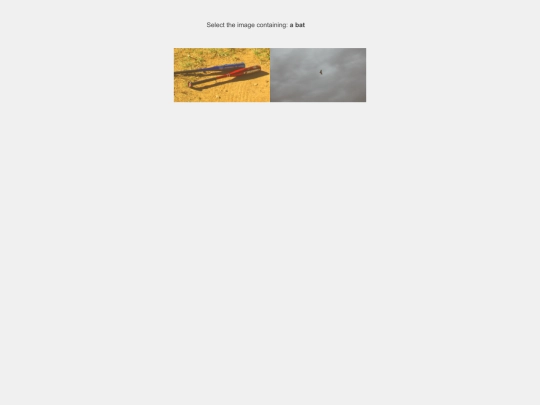 prove.it/verification- screenshot