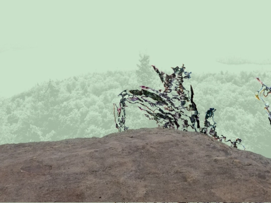 adirondack screenshot