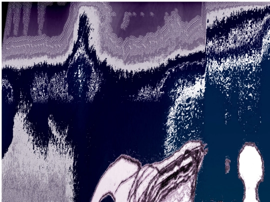 prints/images screenshot