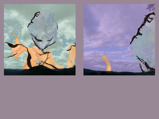 skies/sky screenshot