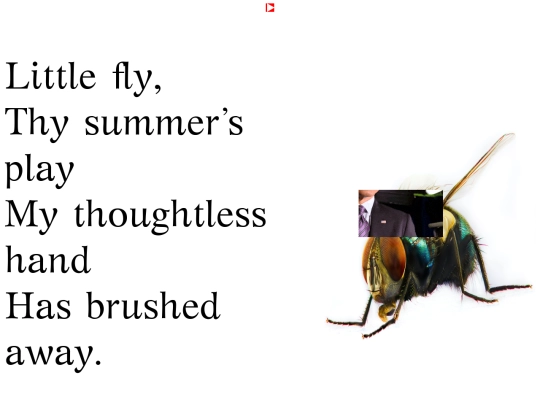 walkincrevice/fly/fly screenshot