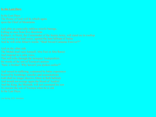 eng/in_the_last_days screenshot
