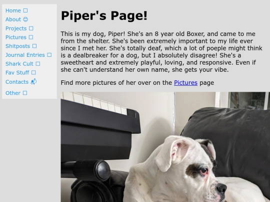 piper screenshot