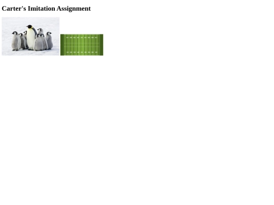 Imitation screenshot
