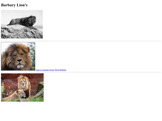images screenshot