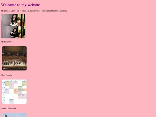 mywebsite screenshot
