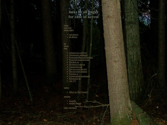 allpages screenshot