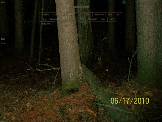 art screenshot