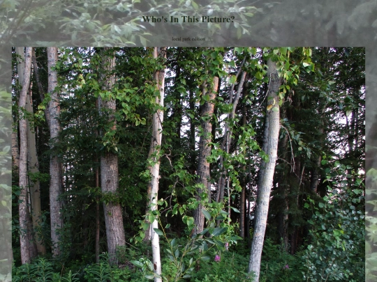 nature/localpark screenshot