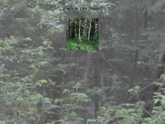 nature/whosinthispic screenshot