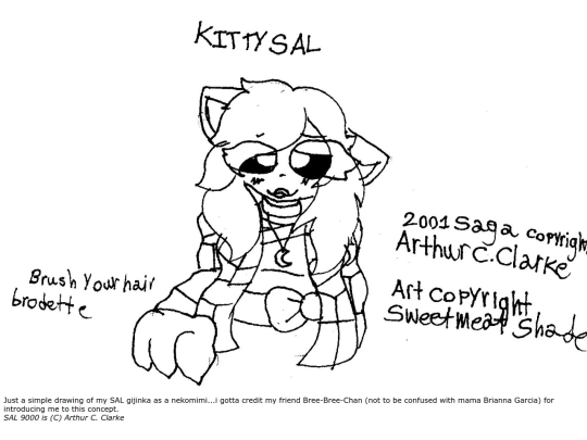 kittysal screenshot