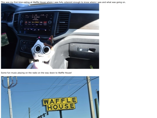 wafflehouseadventure screenshot