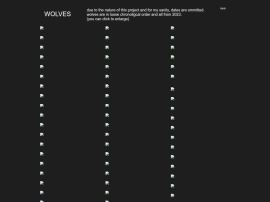 portfolio_new/wolves screenshot