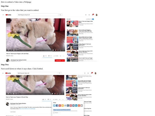 video screenshot