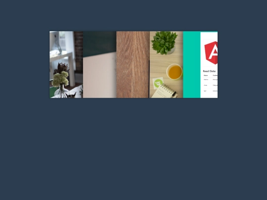 javascript/javascript screenshot