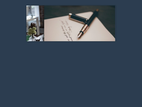 proyectos screenshot
