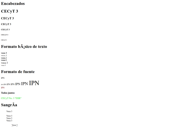 estructura basica screenshot