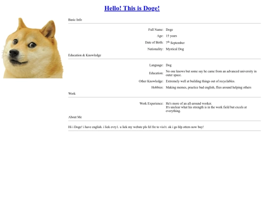 staff/doge screenshot