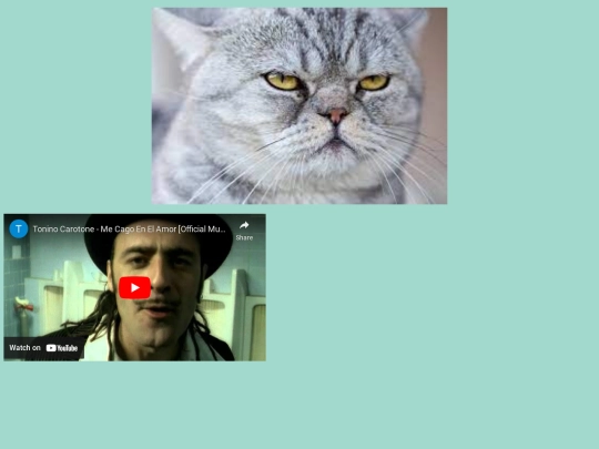 gatoarrecho screenshot