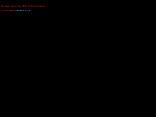 ernst screenshot