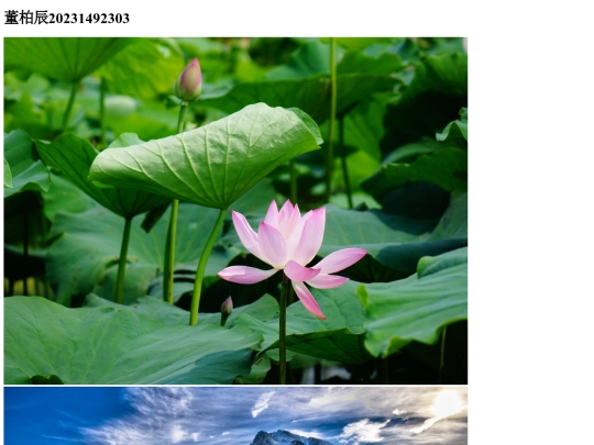 homework2/homework2 screenshot