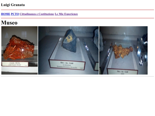 museo/museo_index screenshot