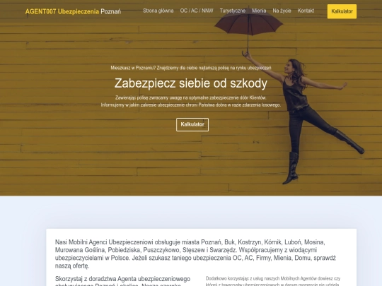 poznan screenshot