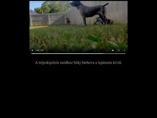 m3u8 screenshot